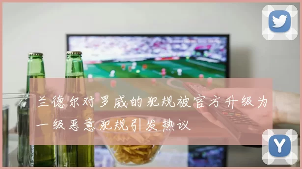 兰德尔对罗威的犯规被官方升级为一级恶意犯规引发热议